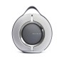 Enceinte portable Devialet Mania
