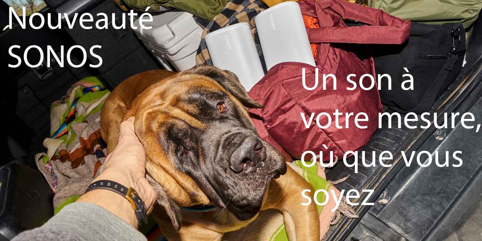 NOUVEAUTE SONOS